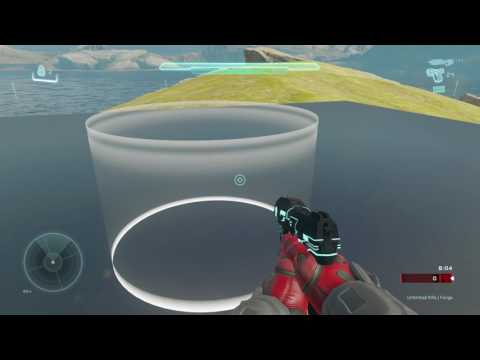 Red Hunter's Following Weapons and Pets