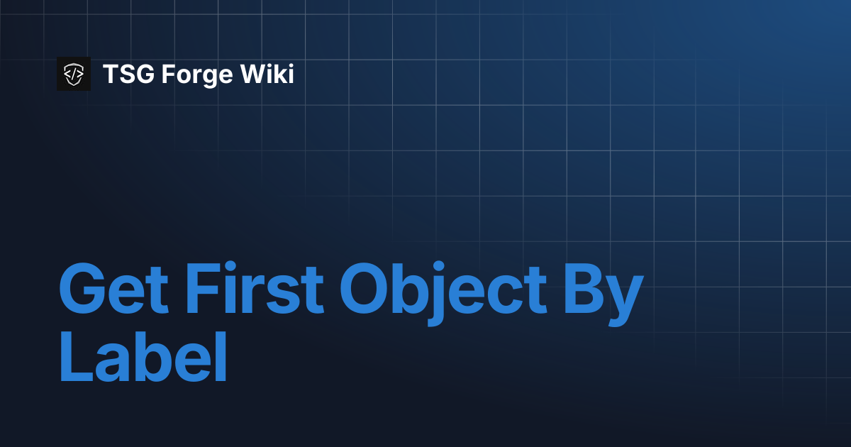 Get First Object By Label | TSG Forge Wiki